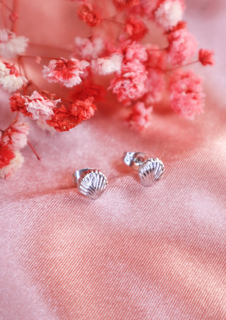 Tiny sea shell stud earrings