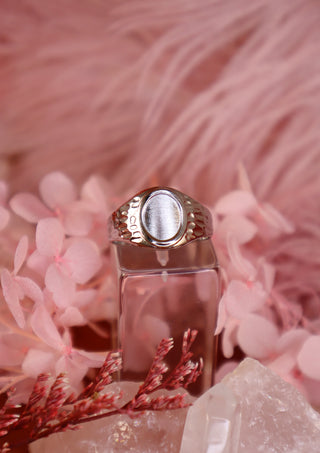 Mr Darcy! I Found Your Ring Silver