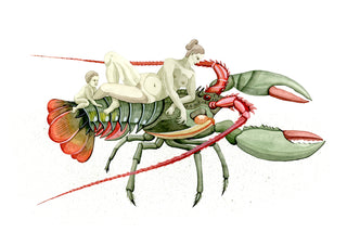 Soft Shell A3 print by Emma Ekstam
