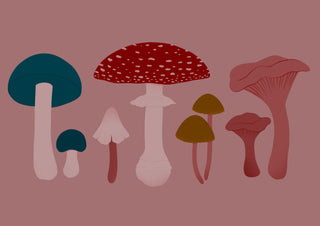 Mushroom art print by Ida Alvarsson