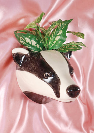 Big badger wallvase