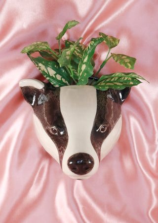 Big badger wallvase
