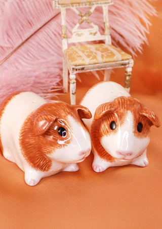 Dutch ginger guinea pig salt and pepper shakers