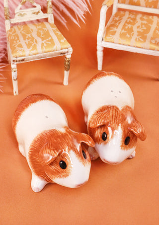 Dutch ginger guinea pig salt and pepper shakers
