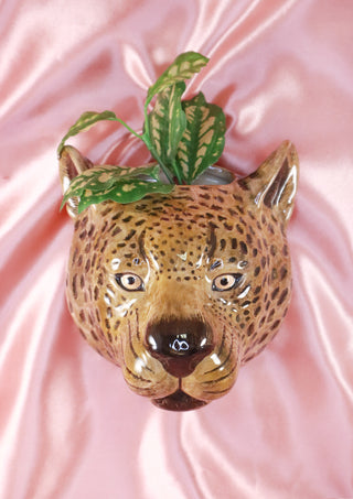 Big leopard wallvase