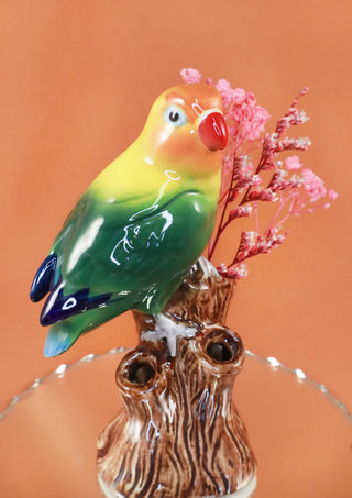 Budvase love bird