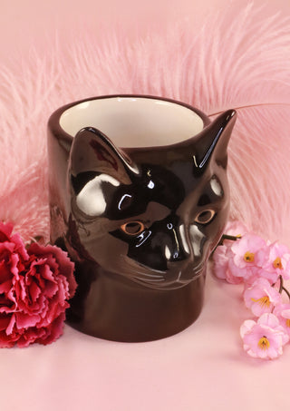 Lucky the black cat pot