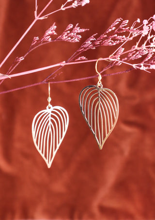 Philodendron gold earrings