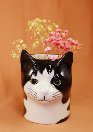 Barney the cat pot