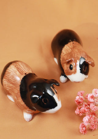 Multicolored guinea pigs salt and pepper shakers