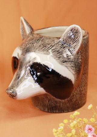 Raccoon pot