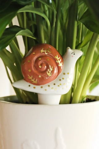 Snail Plant Watering Spike