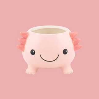 Axolotl Planter