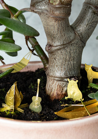 Tiny Camping For Your Plants