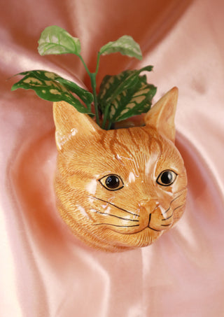Vincent the ginger cat small wallvase