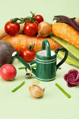 The Potting Shed Ceramic Watering Can Ring Holder
