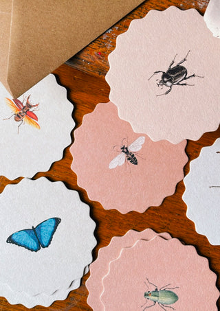Coaster Set Insects by 30x40