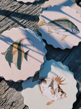 Coaster Set Fish 🐠🐟🐡