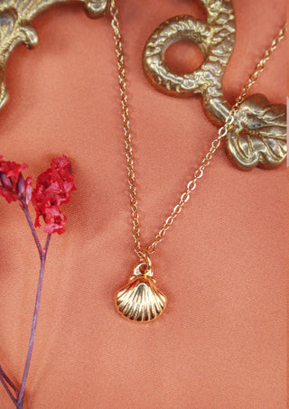 Shelly Necklace