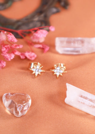 Shiny Star stud earrings