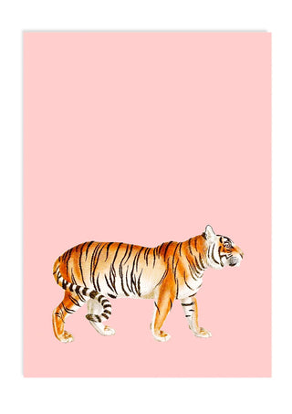Tiger Postcard by 30x40