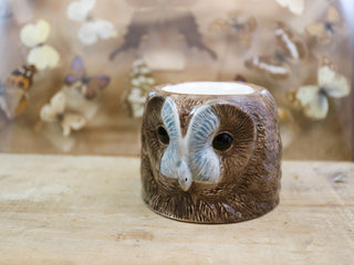 Tawny owl small cup