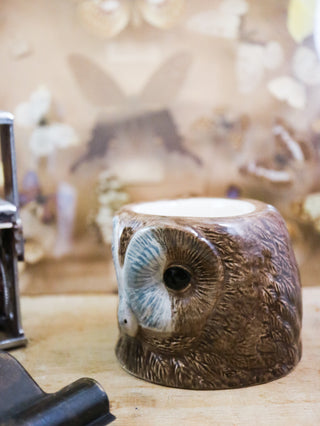 Tawny owl small cup