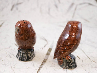 Tawny owl salt & pepper shakers