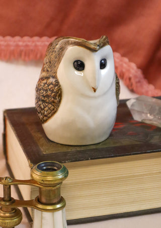 Barn owl jug