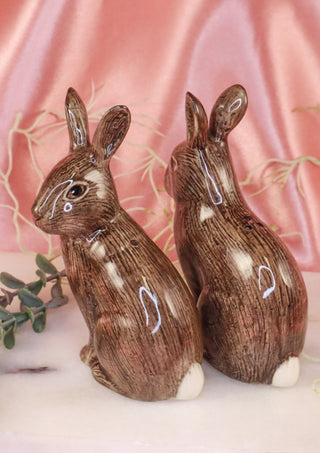 Hares salt and pepper shakers