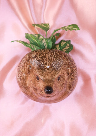 Hedgehog wallvase