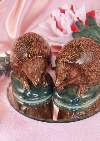 Hedgehog salt and pepper shakers