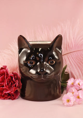 Lucky the black cat pot