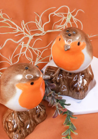Robin salt and pepper shakers