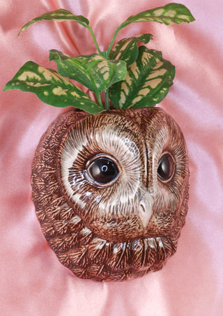 Small tawny owl wallvase